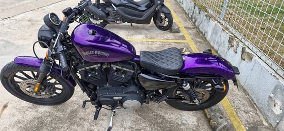 HARLEY-DAVIDSON SPORTSTER XL 883N IRON 
